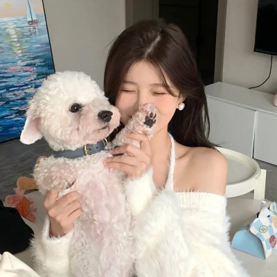 枪灵计划